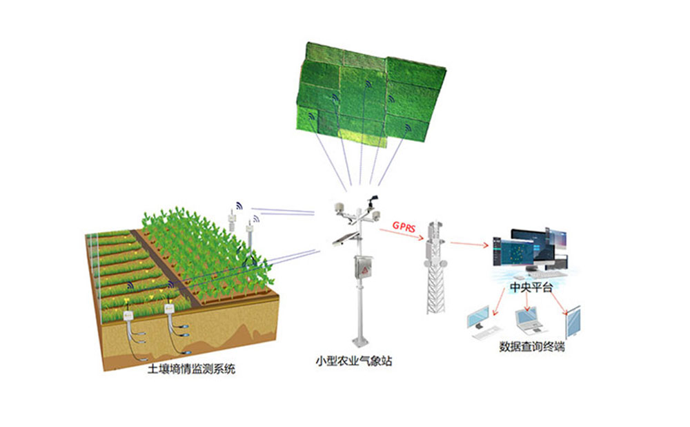 智慧農業(yè)氣象監(jiān)測